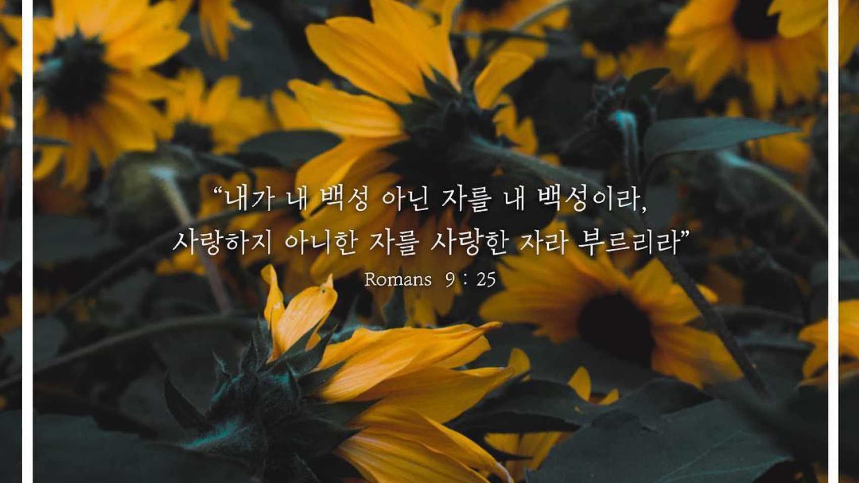 자격없는