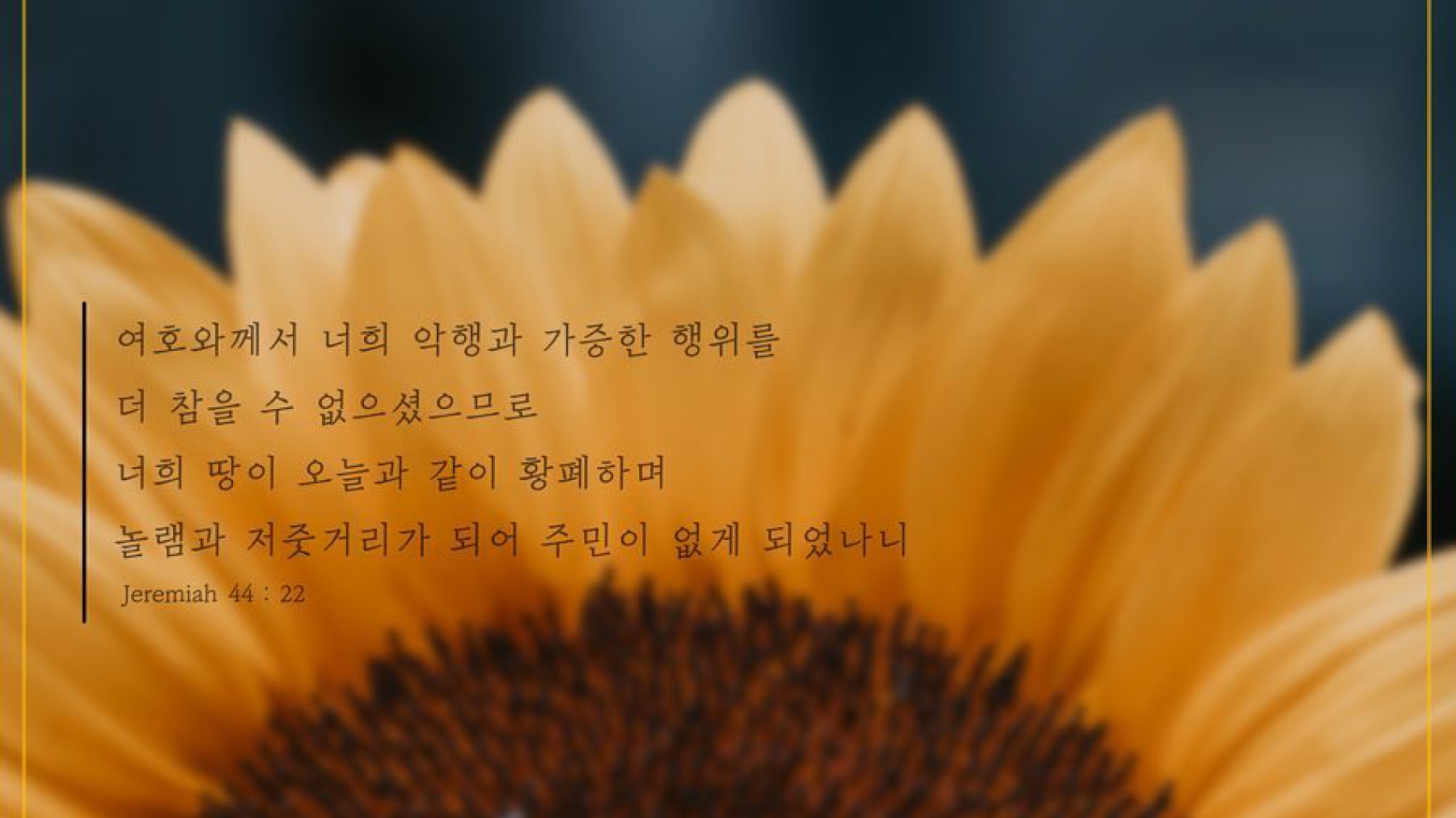 후회할만한선택