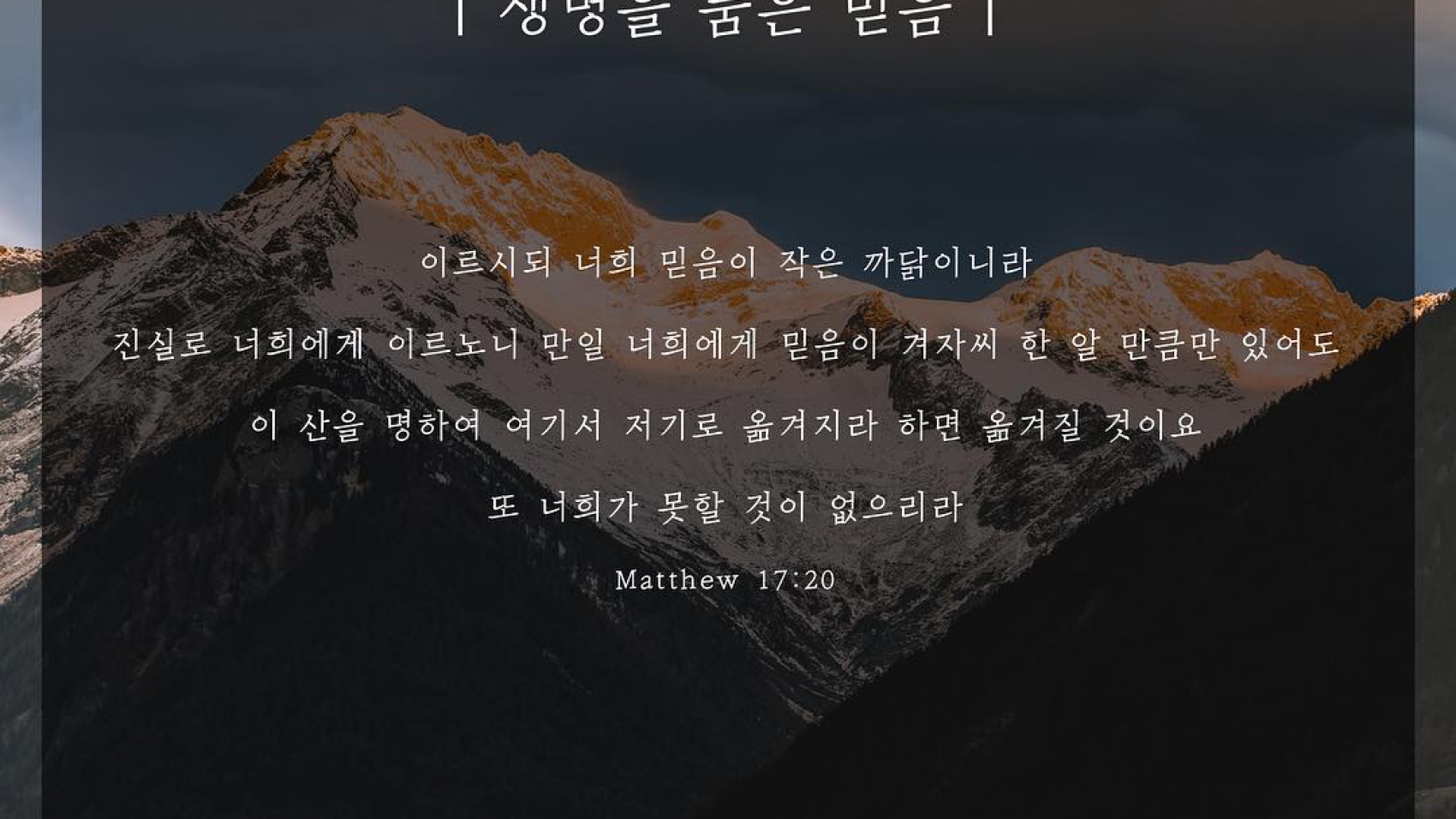 생명을품은믿음