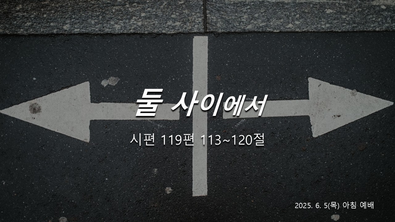 둘 사이에서