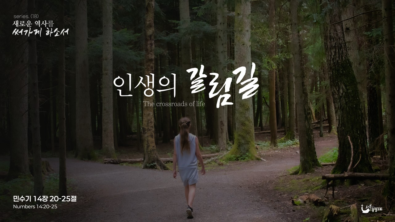 인생의 갈림길