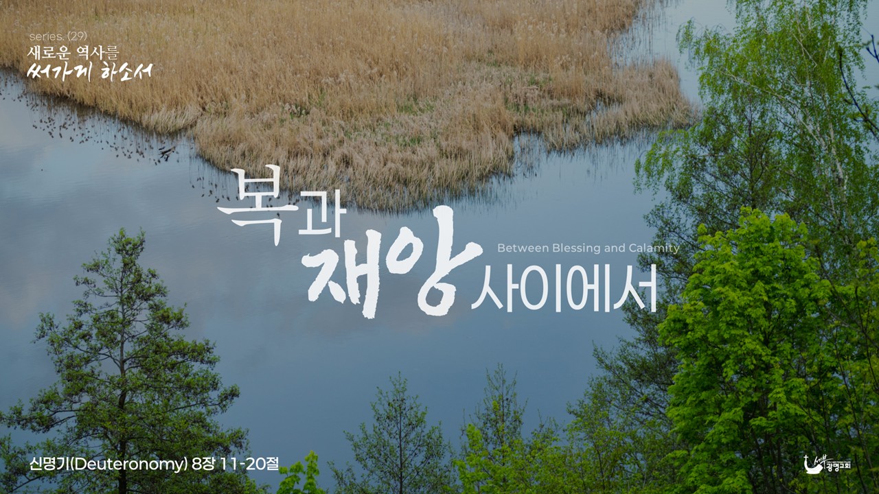 복과 재앙 사이에서